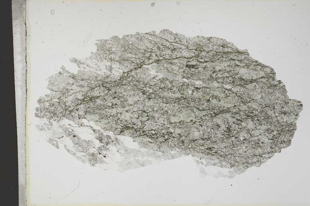 Plane Polarized, S13509