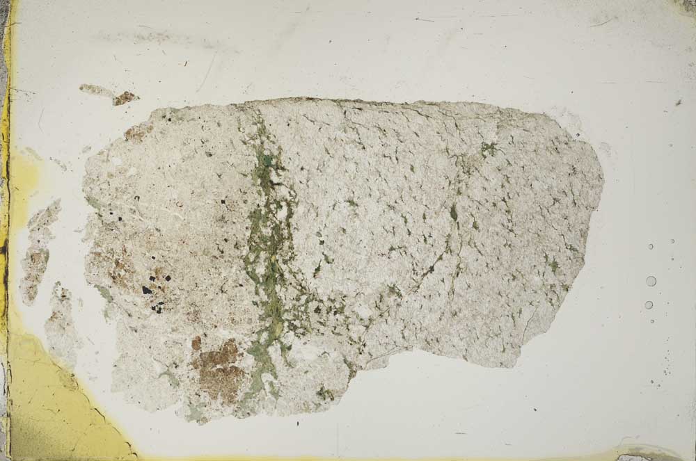 Plane Polarized, S13569