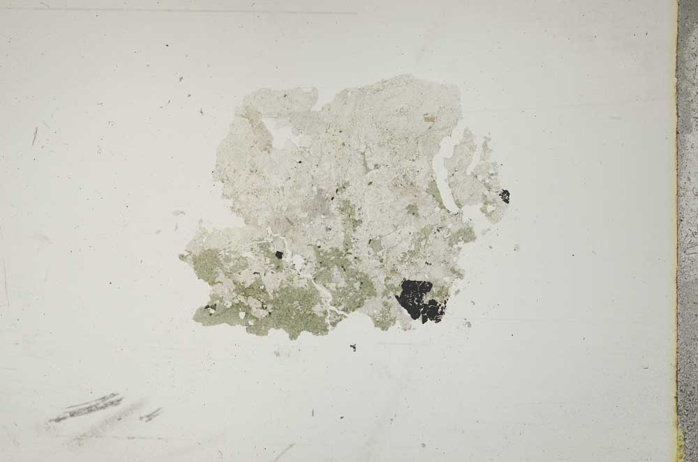 Plane Polarized, S13570