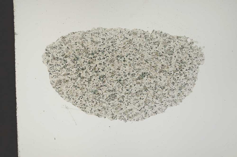 Plane Polarized, S13577