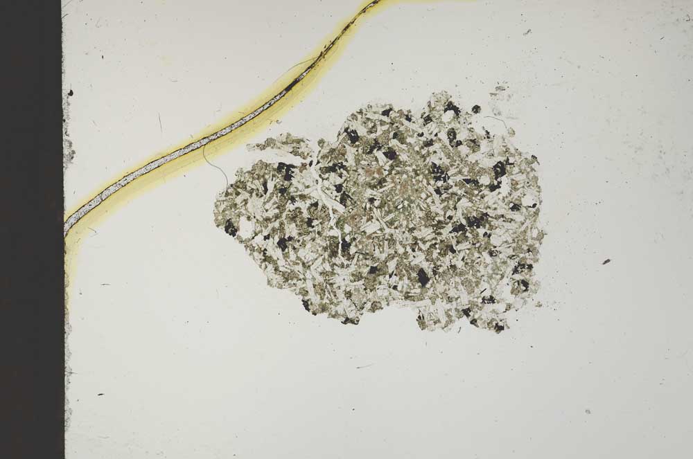 Plane Polarized, S13581