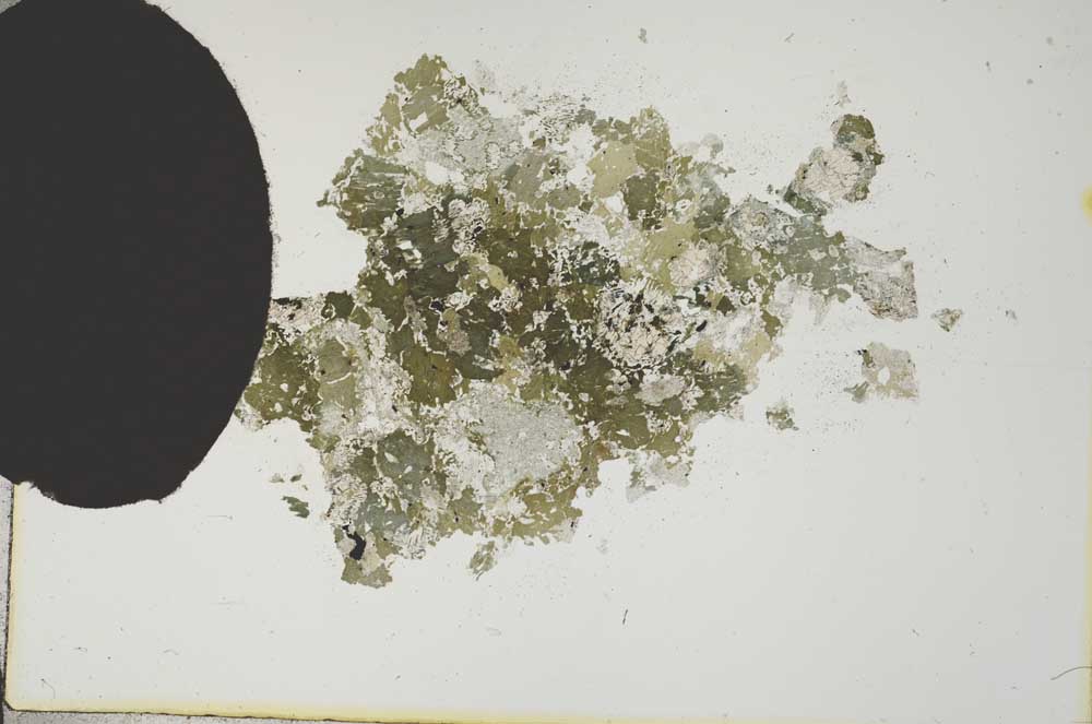 Plane Polarized, S13584