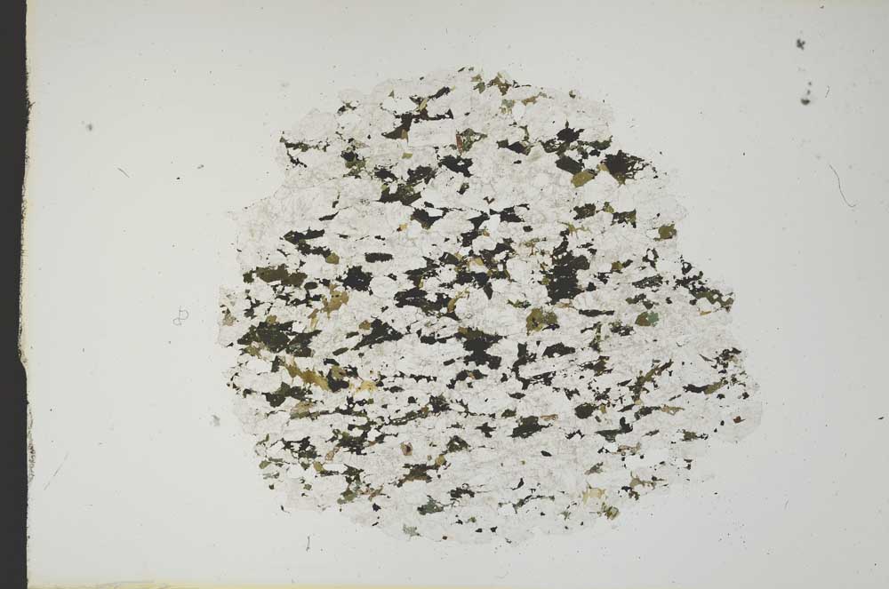 Plane Polarized, S13594