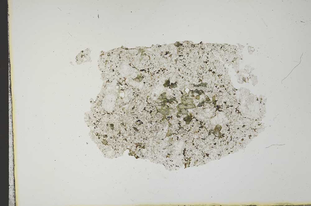 Plane Polarized, S13595