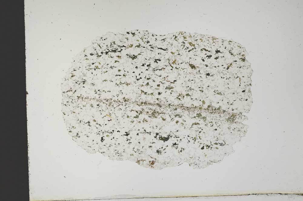 Plane Polarized, S13602