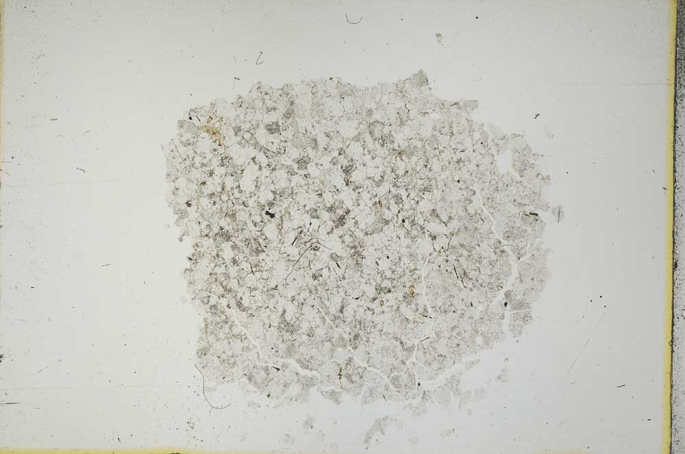 Plane Polarized, S13610