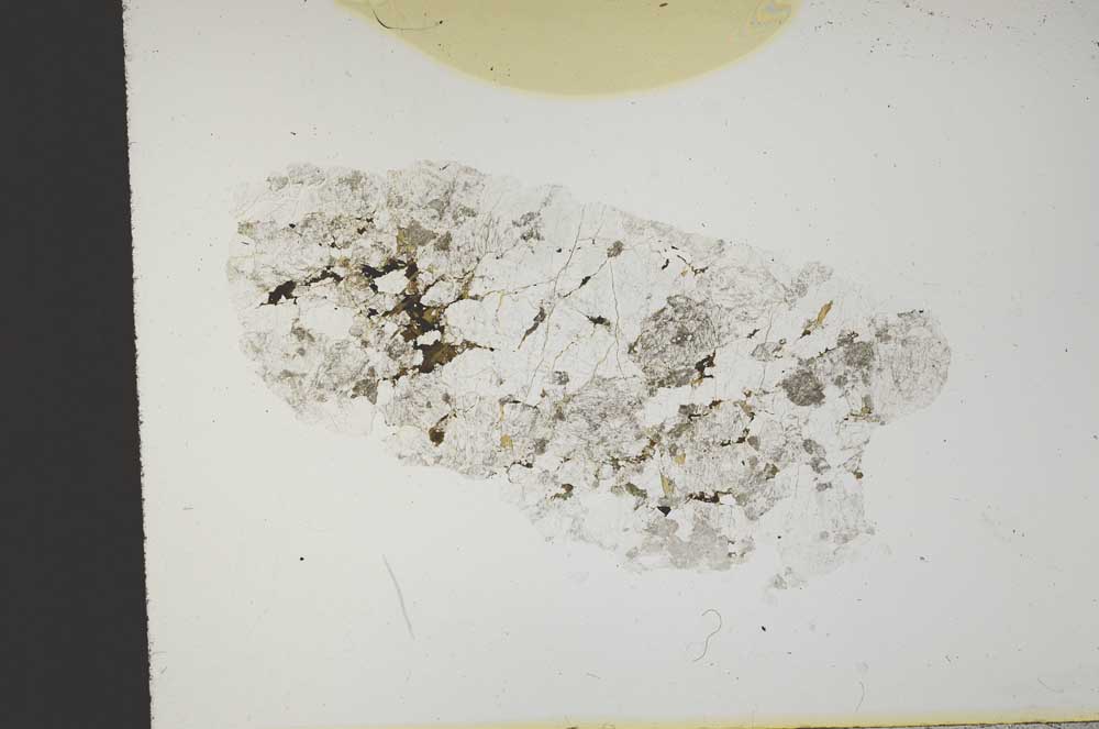 Plane Polarized, S13611