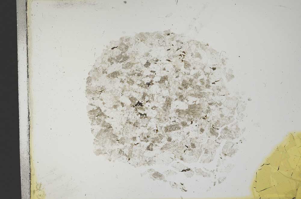 Plane Polarized, S13613