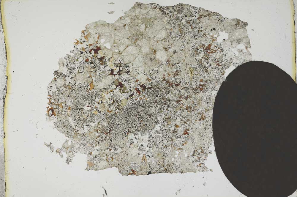 Plane Polarized, S13638