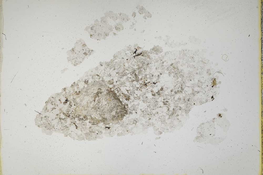 Plane Polarized, S13657