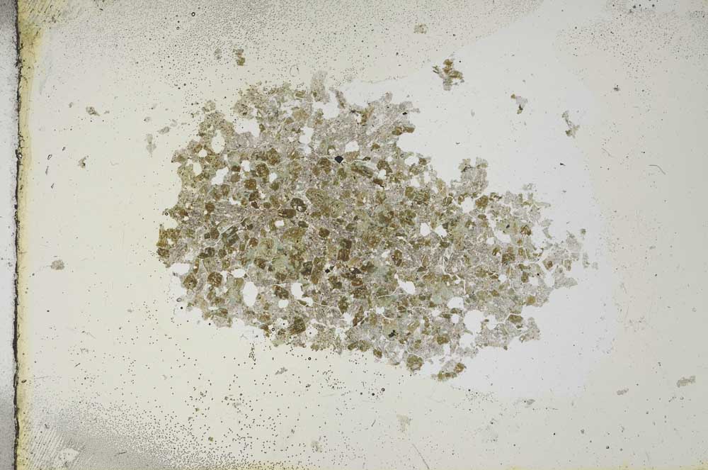 Plane Polarized, S13662