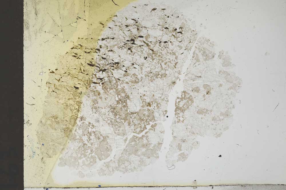 Plane Polarized, S13665