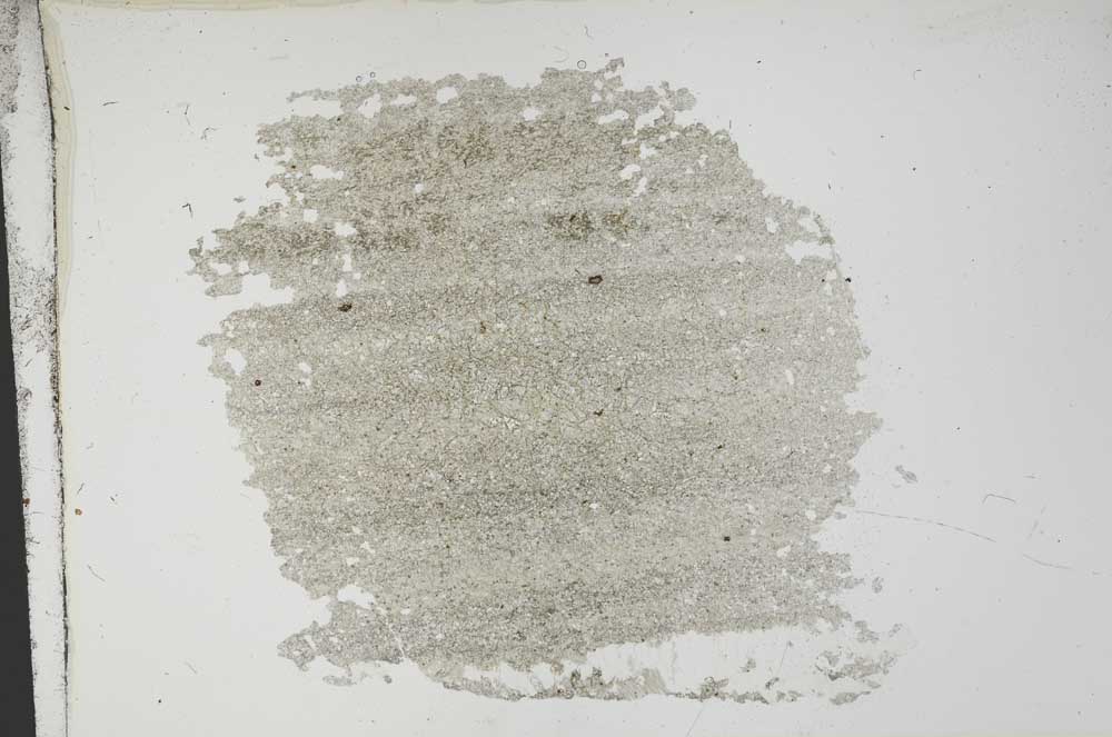 Plane Polarized, S13666