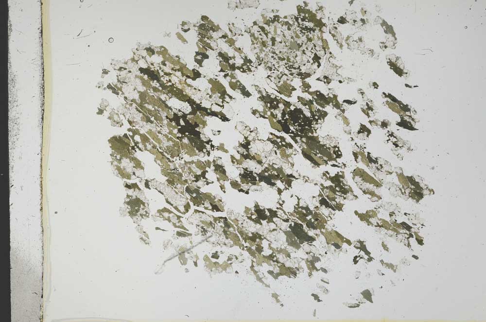 Plane Polarized, S13668