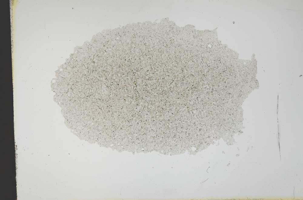 Plane Polarized, S13669