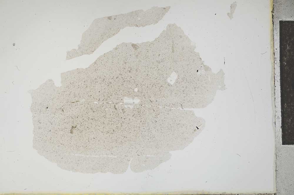 Plane Polarized, S13670