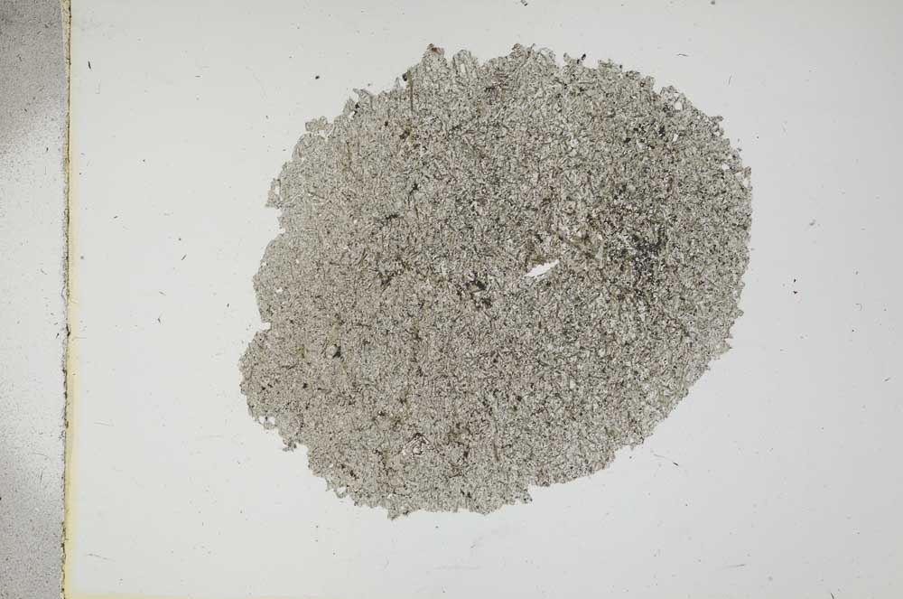 Plane Polarized, S13672