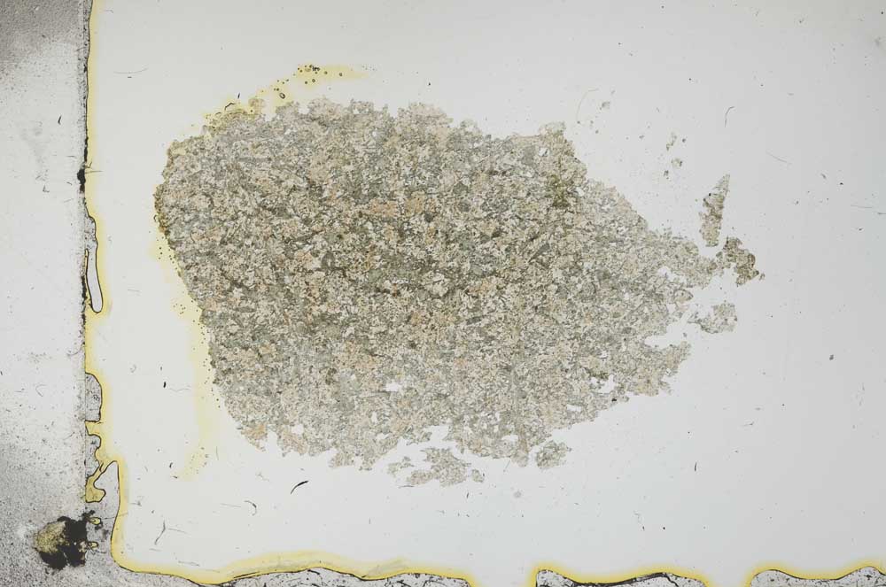 Plane Polarized, S13673