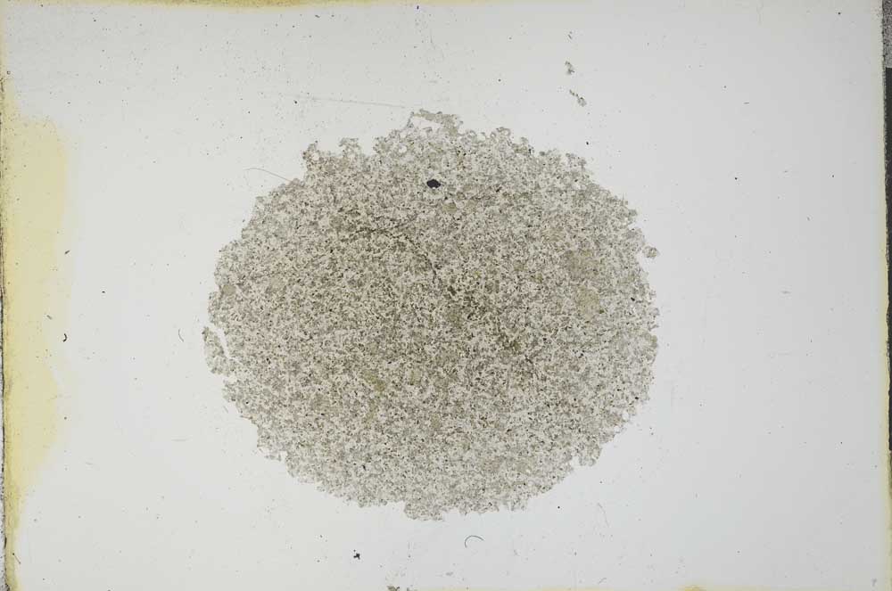 Plane Polarized, S13674