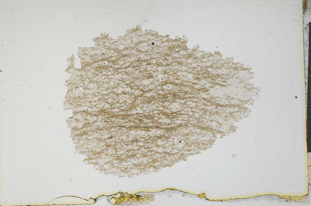 Plane Polarized, S13679