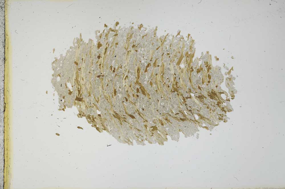 Plane Polarized, S13680