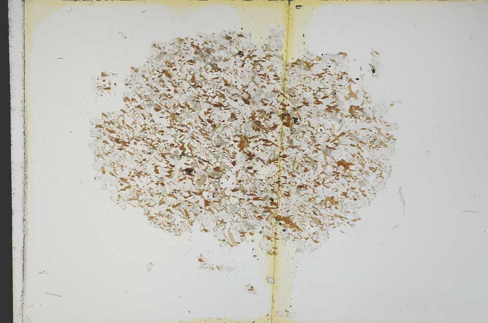 Plane Polarized, S13683