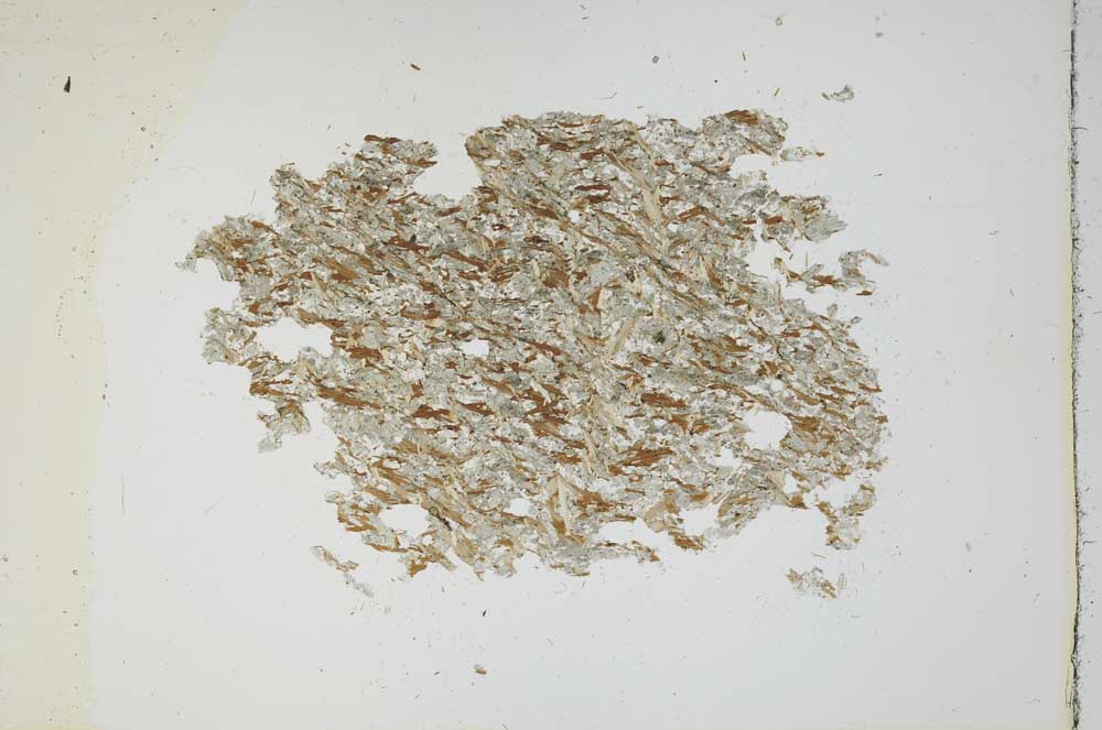 Plane Polarized, S13685