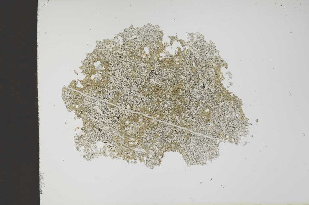 Plane Polarized, S13686