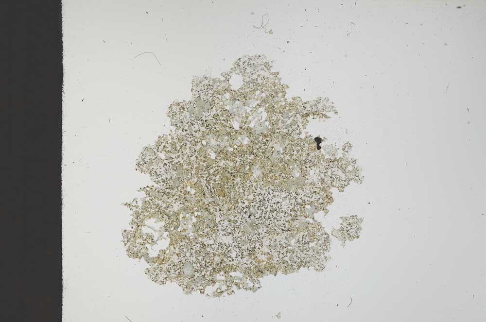 Plane Polarized, S13687