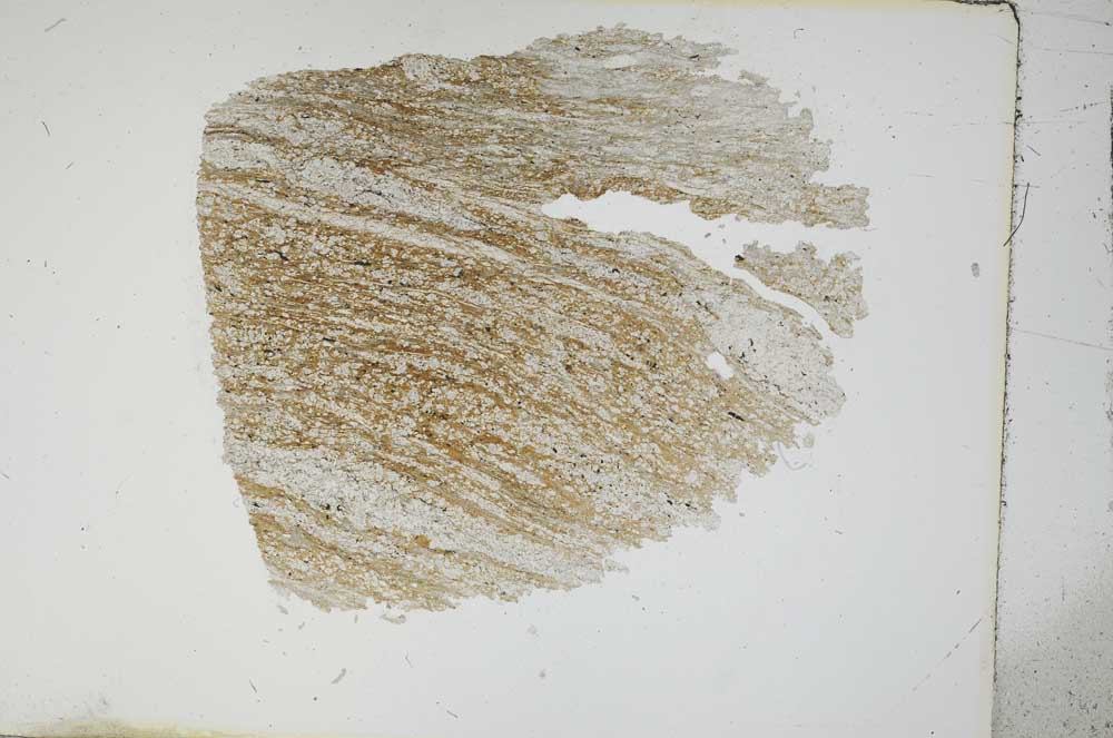 Plane Polarized, S13689