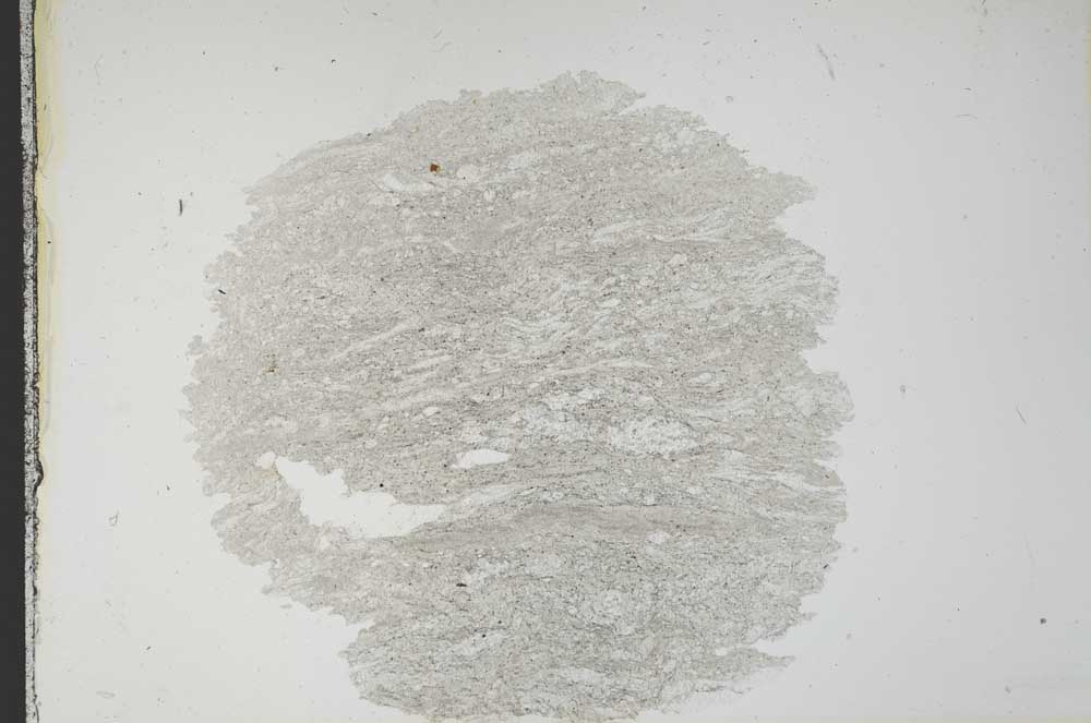 Plane Polarized, S13690