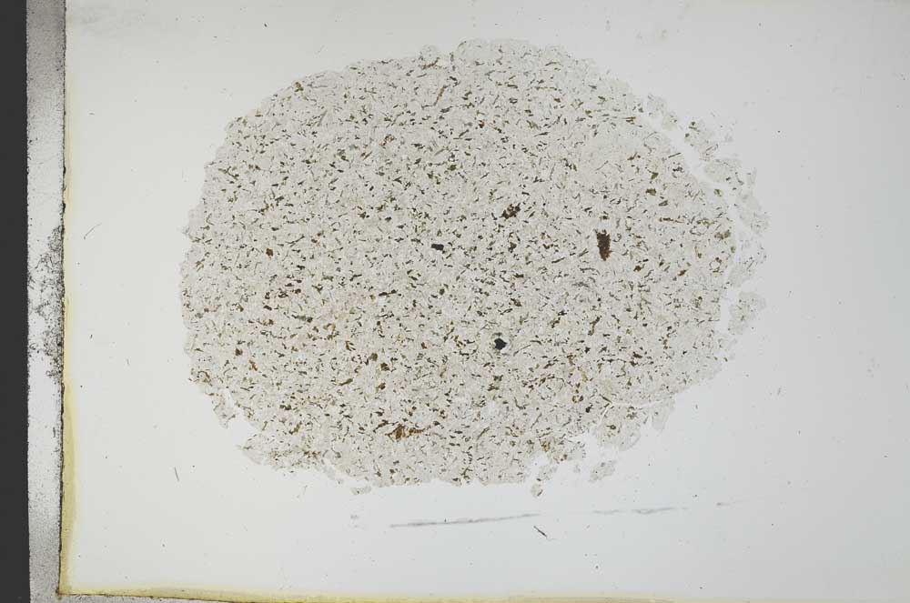 Plane Polarized, S13691