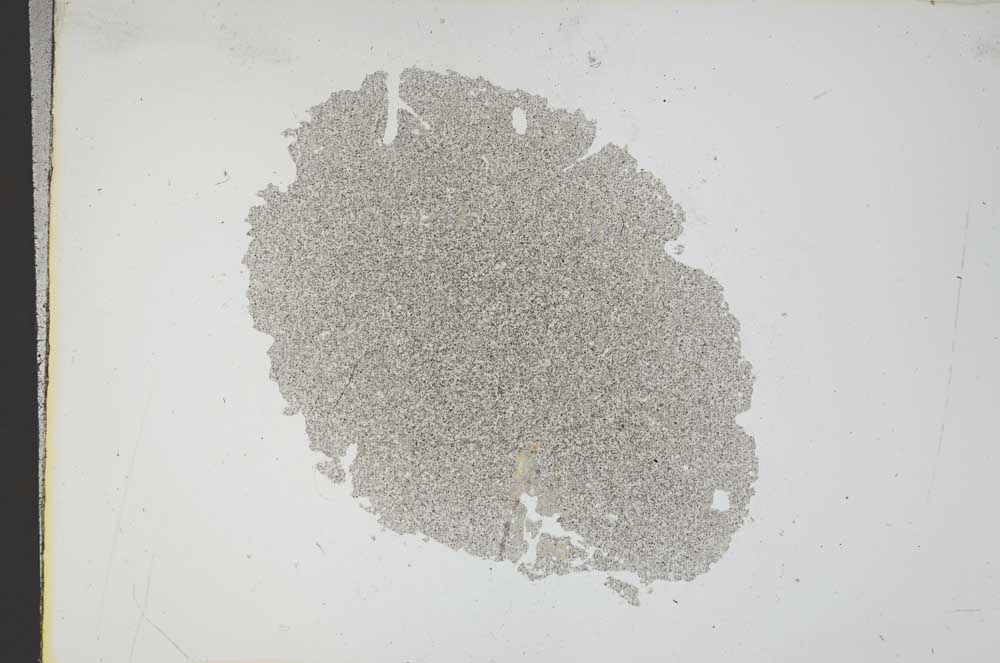 Plane Polarized, S13703