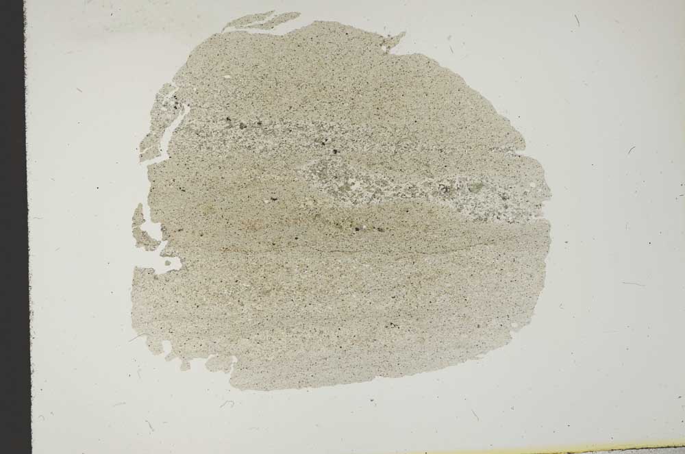 Plane Polarized, S13765