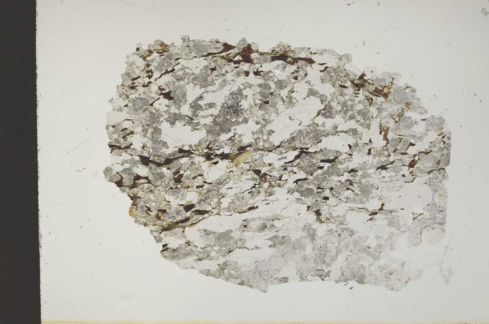 Plane Polarized, S13772