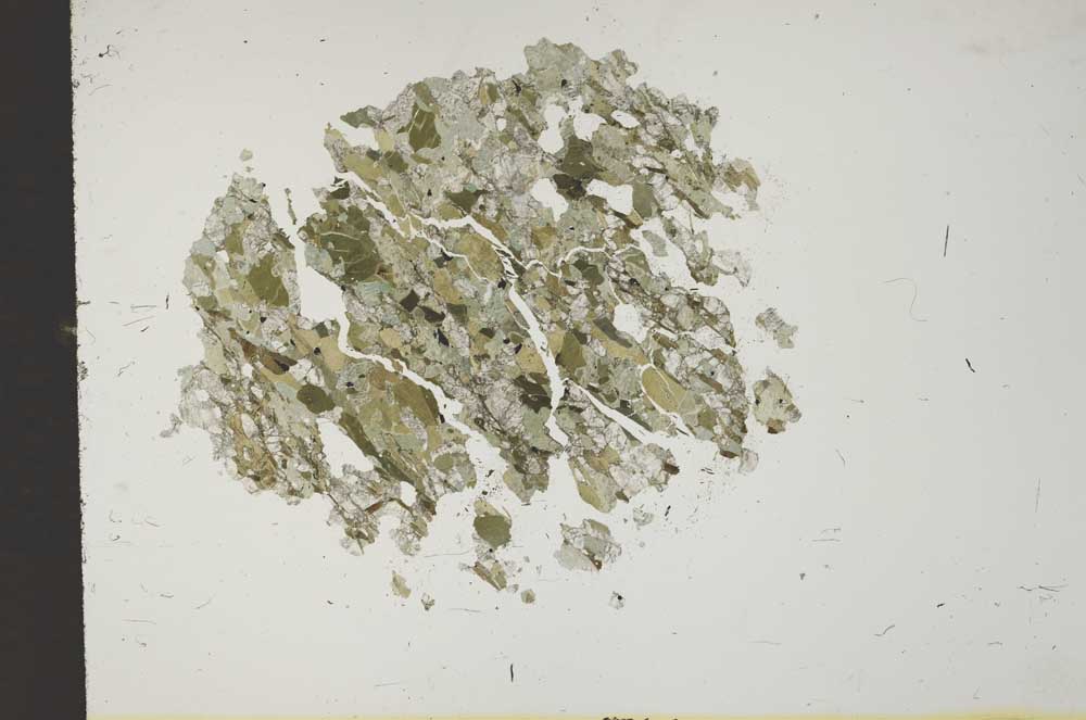 Plane Polarized, S13774