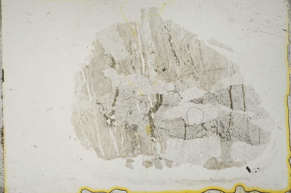 Plane Polarized, S13775