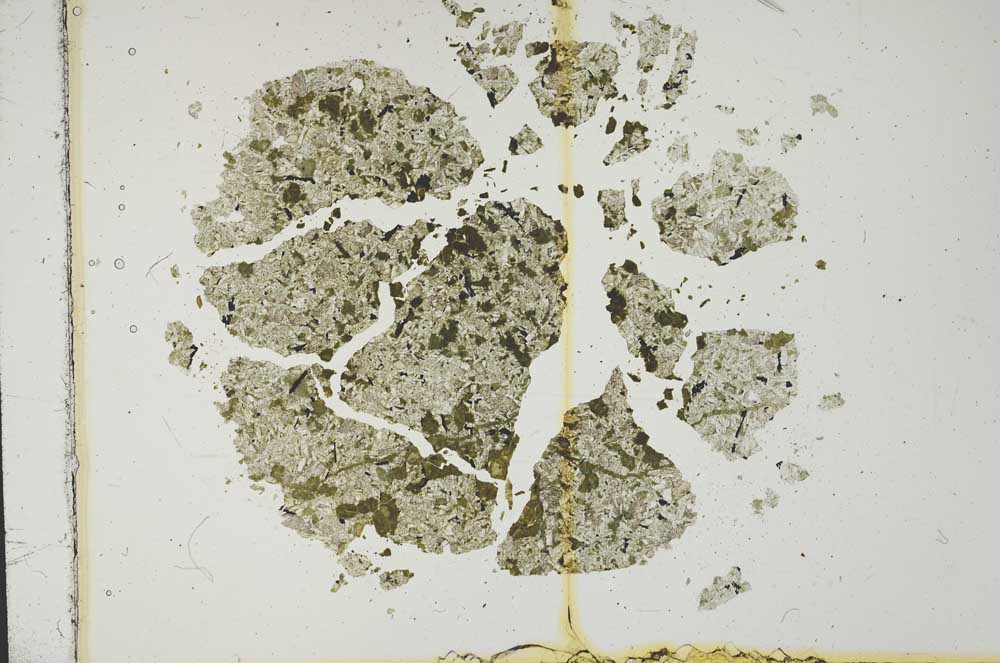 Plane Polarized, S13795