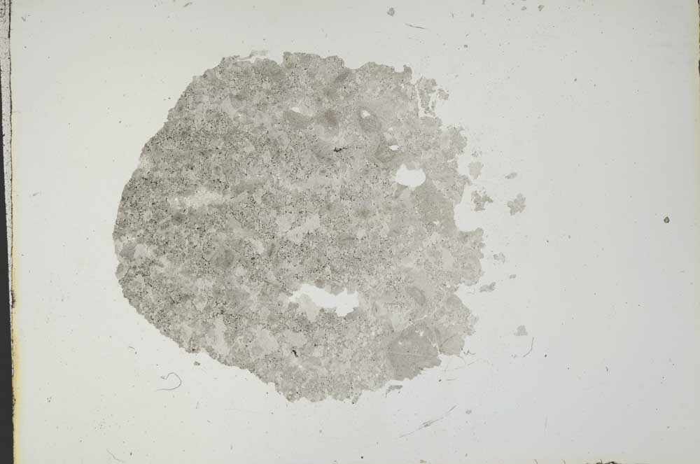 Plane Polarized, S13799