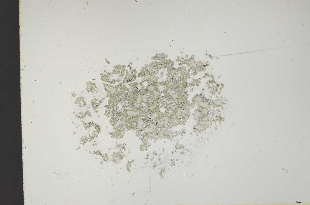 Plane Polarized, S13803