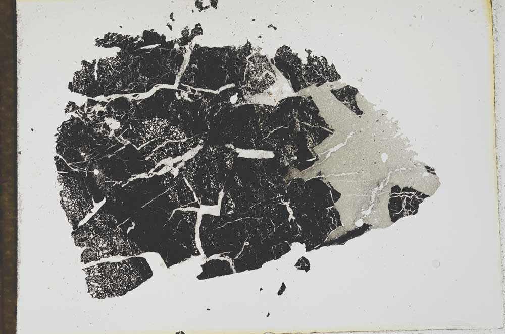 Plane Polarized, S13813