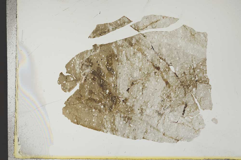 Plane Polarized, S13829