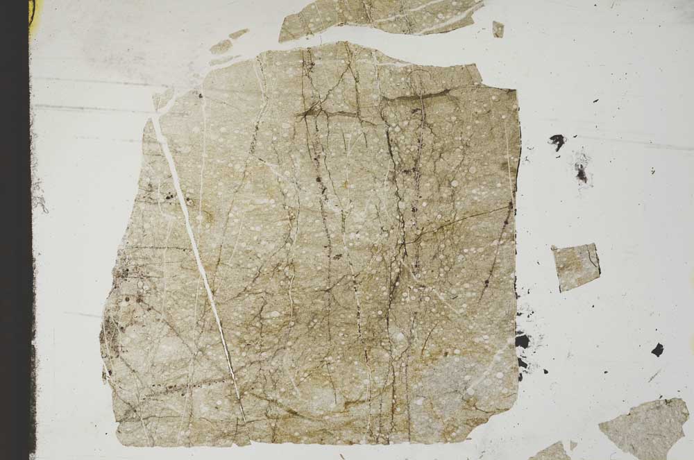 Plane Polarized, S13830