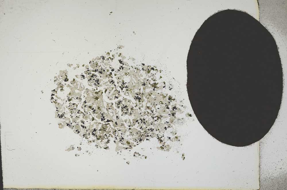 Plane Polarized, S13832