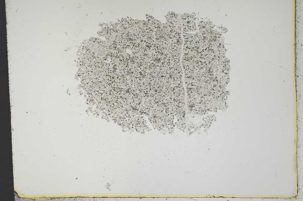 Plane Polarized, S13834