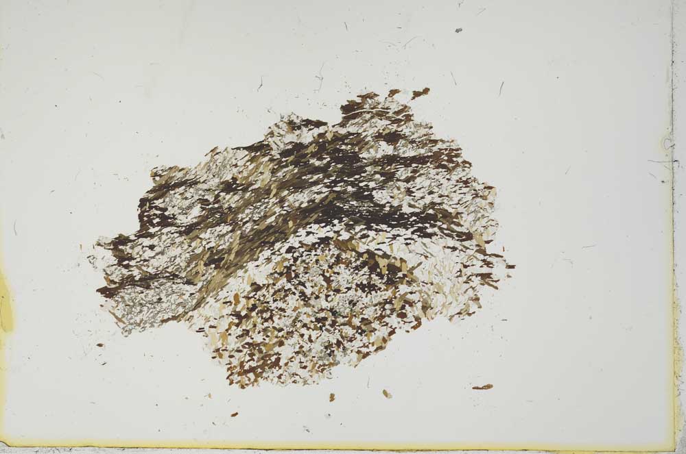 Plane Polarized, S13838/A