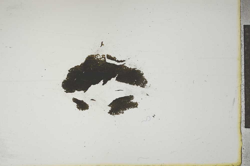 Plane Polarized, S13843