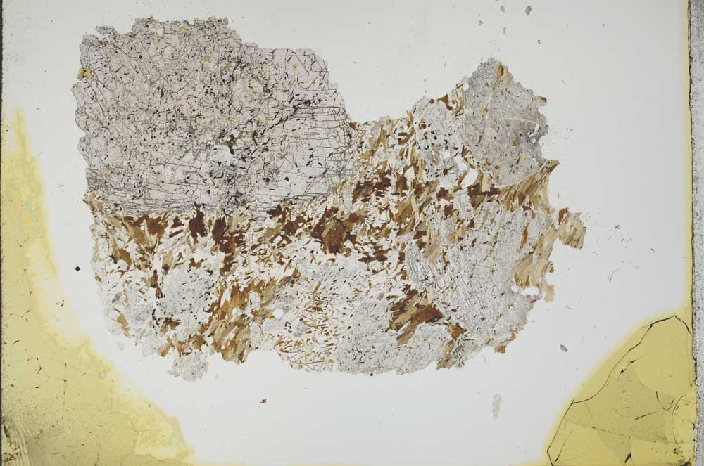 Plane Polarized, S13849