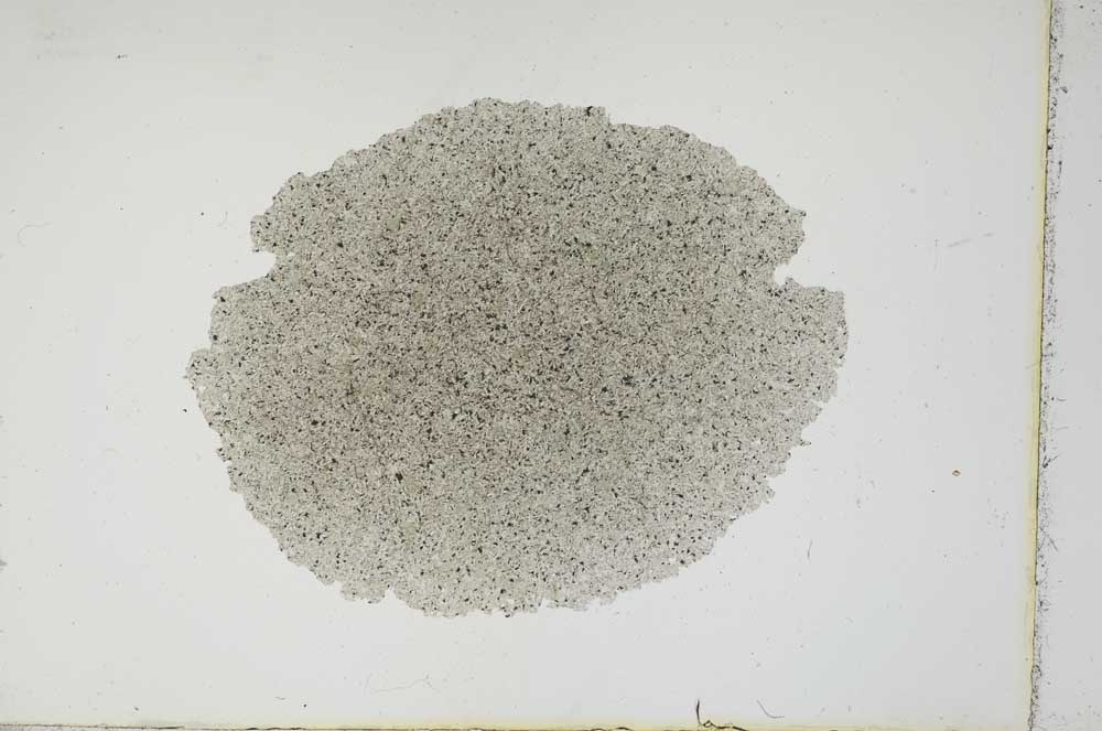 Plane Polarized, S13864