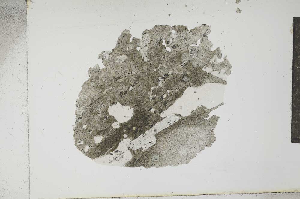 Plane Polarized, S13867
